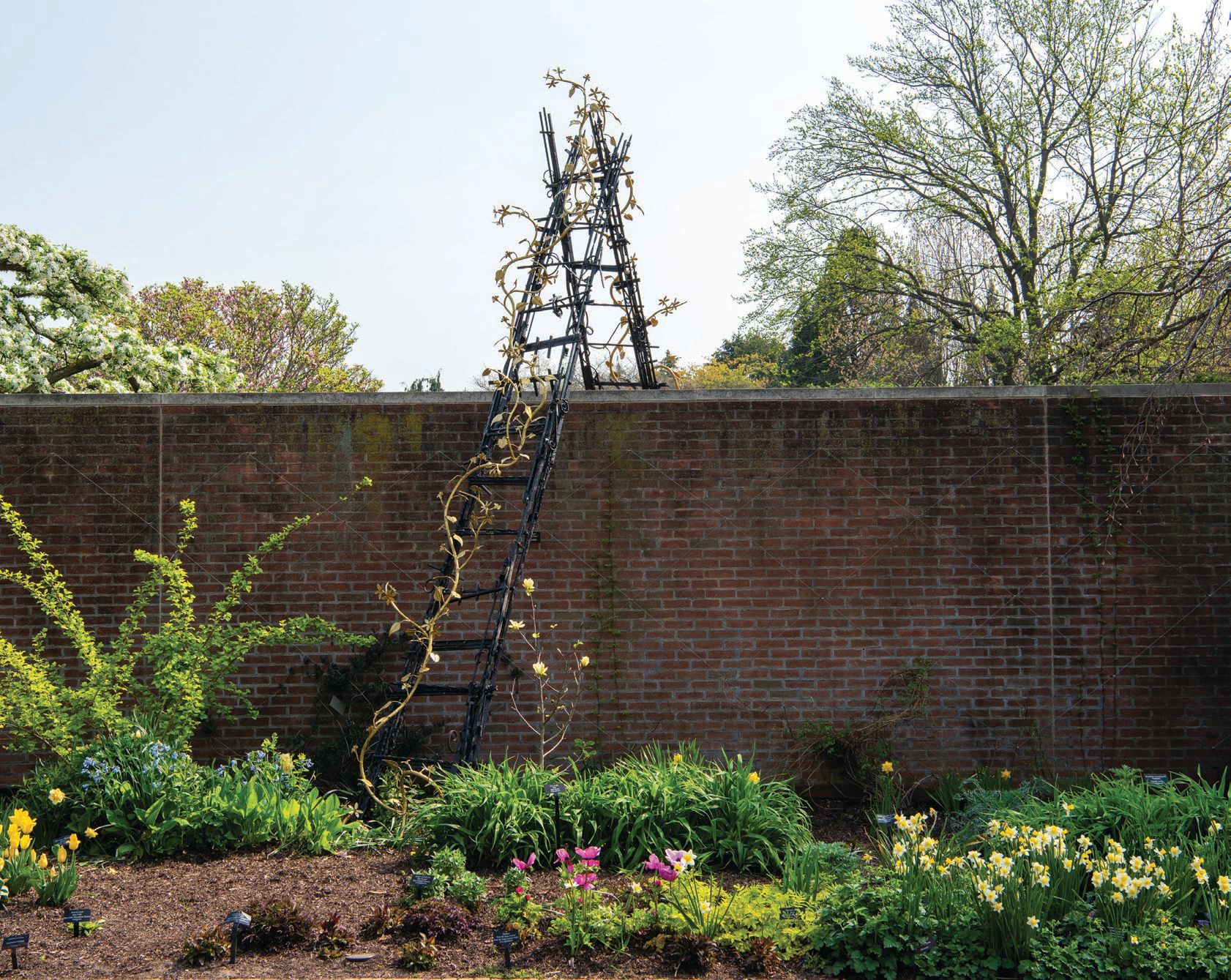 Chicago-based artist Faheem Majeed's work "A Ladder for Creeping Charlie & Bittersweet Nightshade" at Chicago Botanic Garden's "Flourish: The Garden at 50" PHOTO COURTESY OF: CHICAGO BOTANIC GARDEN